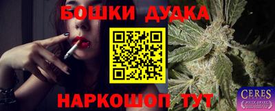 PSILOCYBIN Бугуруслан