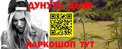 гидра Будённовск