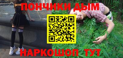 гидра Будённовск