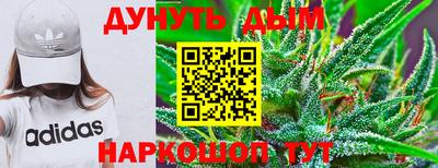 гидра Будённовск