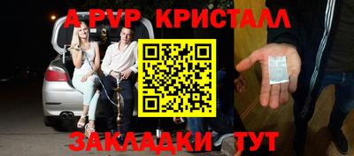 гидра Будённовск